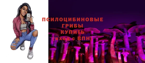 apvp Баксан