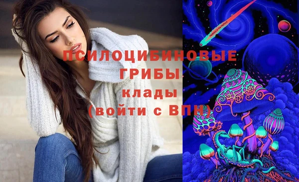 стафф Балахна